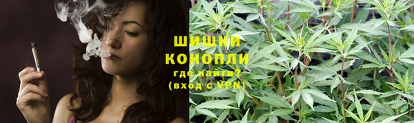 ГАЛЛЮЦИНОГЕННЫЕ ГРИБЫ Алексеевка