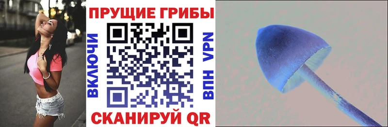 Псилоцибиновые грибы Psilocybe  darknet официальный сайт  Находка 
