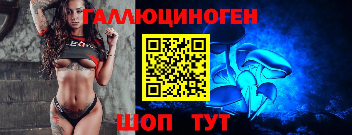 Находка  Галлюциногенные грибы мицелий  Вход с VPN 