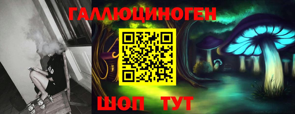Псилоцибиновые грибы Psilocybe Находка